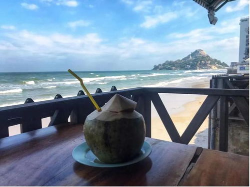 2022年 出境游曙光初现，国内旅游迎来新机遇