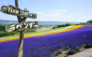 2019盛夏出境游指南 七月出国游最佳目的地推荐