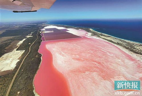 出境旅行的序章 国内热门打卡地盘点